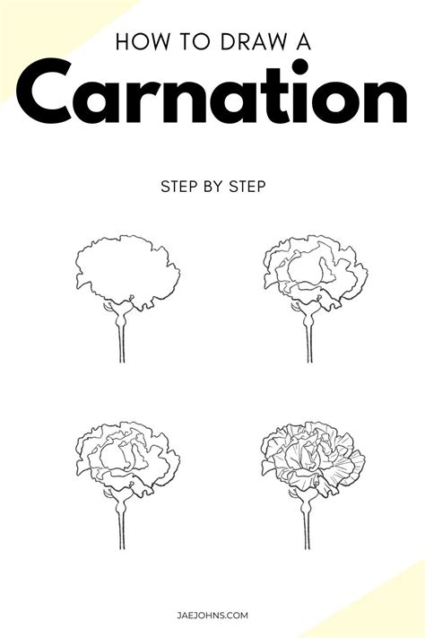 carnation flower red drawing gucci|How To Draw Carnation.